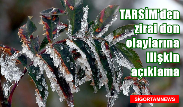 TARSİM'den zirai don olaylarına ilişkin açıklama: