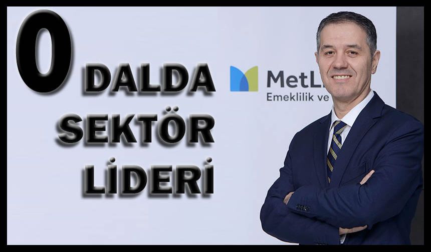 MetLife Türkiye o dalda sektör lideri oldu