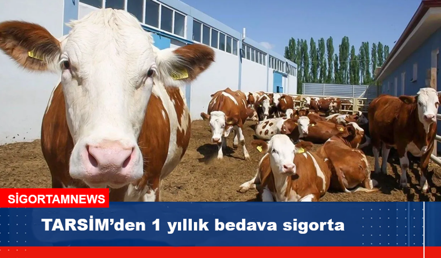 TARSİM’den 1 yıllık bedava sigorta