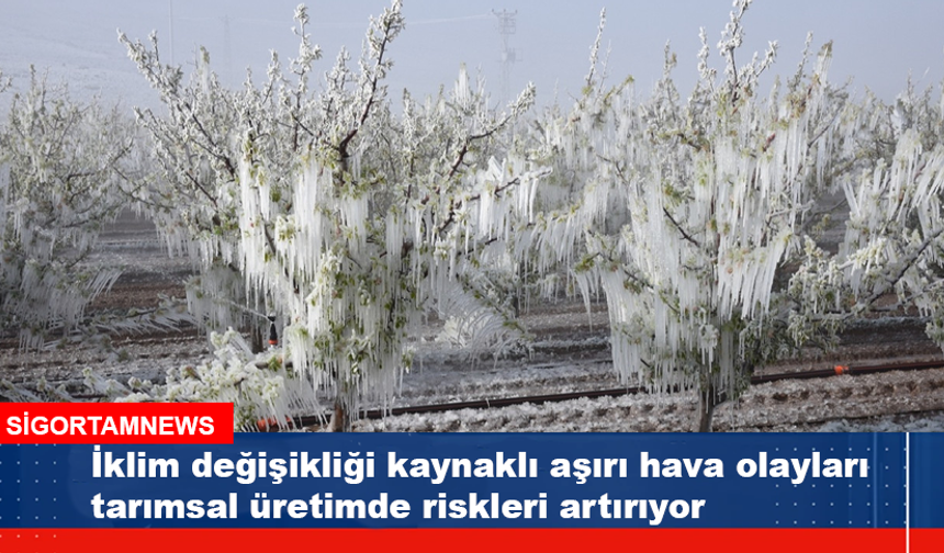 İklim değişikliği tarımsal üretimde riskleri artırıyor