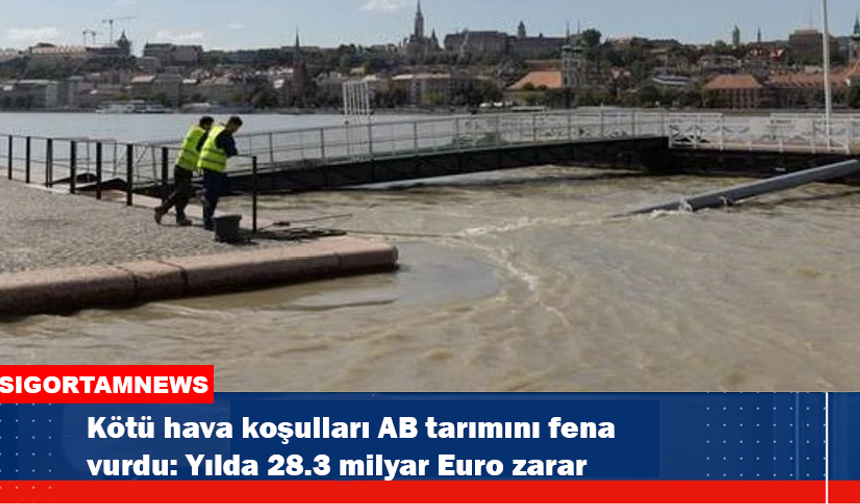 Kötü hava koşulları AB tarımını fena vurdu