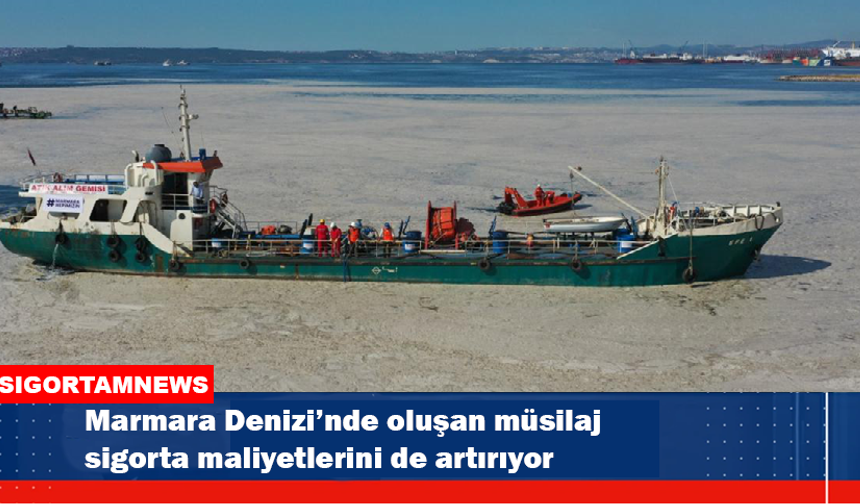 Müsilaj sigorta maliyetlerini de artırıyor