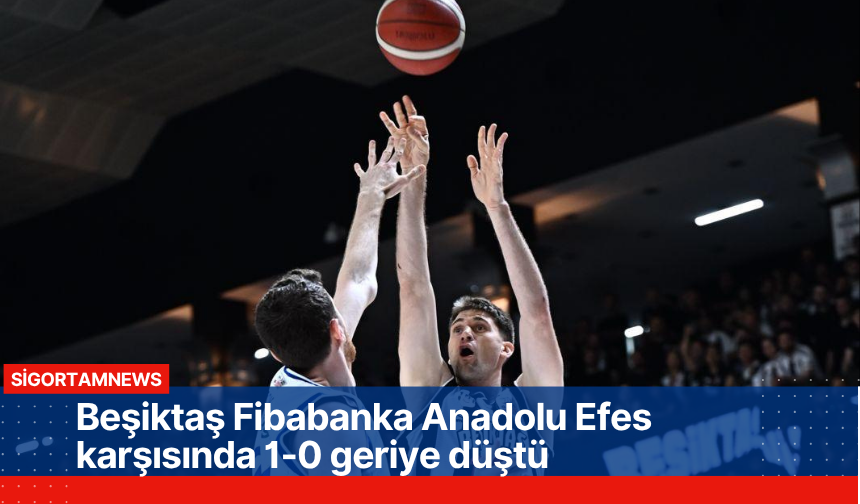Türkiye Sigorta Basketbol Süper Ligi play-off yarı finali