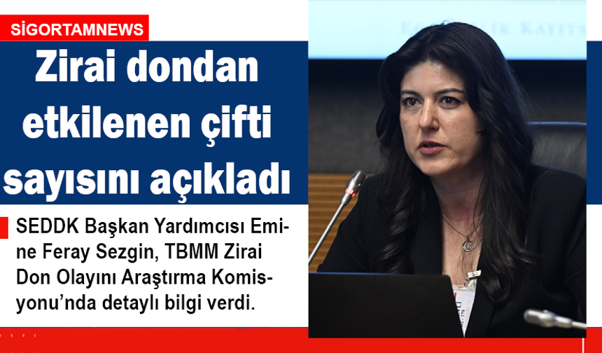 Zirai dondan etkilenen çifti sayısını açıkladı