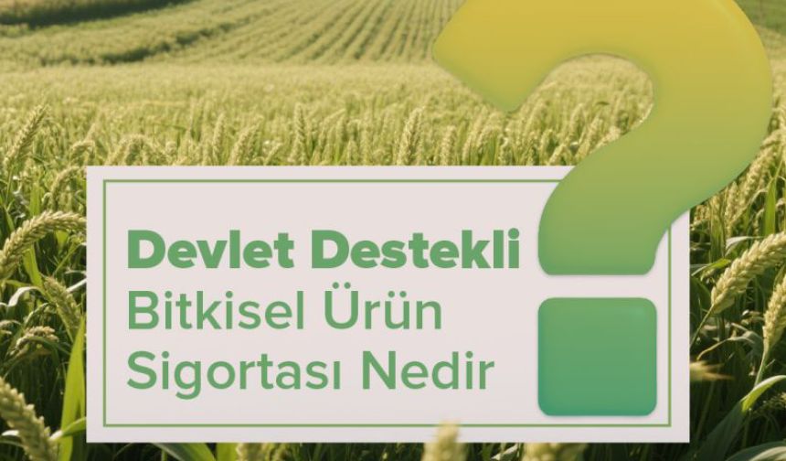 Devlet Destekli Bitkisel Ürün Sigortası Nedir?