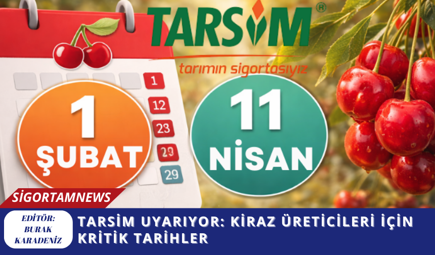 TARSİM uyarıyor: Kiraz üreticileri için kritik tarihler