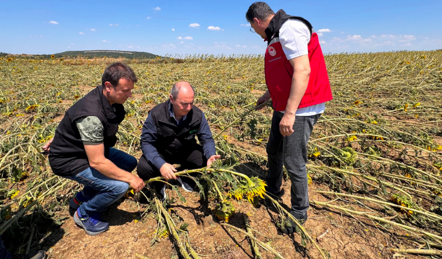 TARSİM Tekirdağ'da dolu hasarlarını yerinde inceledi
